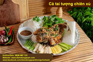 ca-tai-tuong-chien-xu.jpg